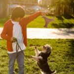 Pet Teething Stick Puppy Teething Toy Puppy Puzzle Toys Chew Toys For Dogs Cat Teasing Toy Dog Teething Chew Toy Puppy Dental Care Puppy Toy Dog Molar Toy Nylon Missing Food Snack - Image 7