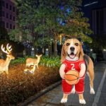 Pet Costumes Dog Basketball Player Costume Halloween Costumes For Dogs Funny Dress Up Sports Outfit Cosplay Clothes For Small Dog Costume - Image 6