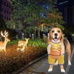 Pet Costumes Dog Basketball Player Costume Halloween Costumes For Dogs Funny Dress Up Sports Outfit Cosplay Clothes For Small Dog Costume - Image 10