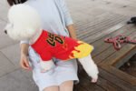 Dog clothes spring and summer clothes cartoon print T-shirt Teddy Bichon pet costume wholesale pet Halloween clothes - Image 4