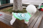 Dog clothes spring and summer clothes cartoon print T-shirt Teddy Bichon pet costume wholesale pet Halloween clothes - Image 7