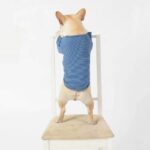 New Style Pet Clothes Wholesale Casual Dog Clothes Teddy Puppy Pet Clothes - Image 2