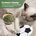 Catnip Toys For Indoor Cats Adult And Kitten Interactive Cat Flying Disc Toy Cat Plush Rubbing Toys With Cat Nips And Mylar Crinkle Sound Cat Chew Toy And Kitten Teething Toy - Image 5