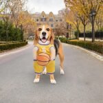 Pet Costumes Dog Basketball Player Costume Halloween Costumes For Dogs Funny Dress Up Sports Outfit Cosplay Clothes For Small Dog Costume - Image 7