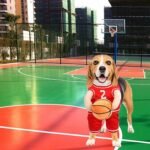 Pet Costumes Dog Basketball Player Costume Halloween Costumes For Dogs Funny Dress Up Sports Outfit Cosplay Clothes For Small Dog Costume - Image 9