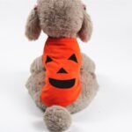 Halloween Pet Pumpkin Clothes - Image 5