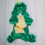 Halloween Dog Clothes Stretch Dinosaur Transformation Costume - Image 6