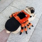Pet Clothes Halloween Spider Pet Costume - Image 4