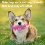 Dog Chew Toy Latex Lizard Squeaky Pet Toys For Small Medium Dogs Interactive Funny Dog Sounding Training Toy Pet Supplies - Image 4