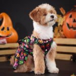 Angel Wings Pet Costume Halloween Dog Clothes - Image 4