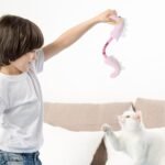 Cat Toys Cat Chew Toy For Teeth Cleaning Catnip Rope Toys For Cats Springs Cat Toy Interactive Cat Kicker Toys For Indoor Cats - Image 6
