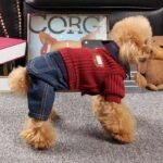 Pet Clothes Wholesale Dog Thick Four Legged Clothes - Image 3