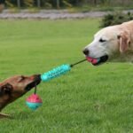 Dog Durable Chew Teeth Cleaning Toy Chew Stick