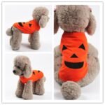 Halloween Pet Pumpkin Clothes - Image 2