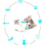 Mint Toys Grabing Toy For Chew Toys Pet Supplies Cat Teaser Toothbrush Clean Cat Fish Toys Silicone Toys Cat Toys Pet Chew Toys Pet Toys Kitten Toys Toy Cat Catnip - Image 2