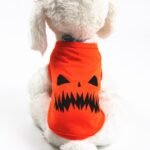 Halloween Pet Pumpkin Clothes - Image 4