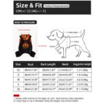 Halloween Party Creative Printing Pet Dog Costume - Image 4