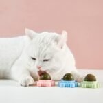 Catnip Wall Ball Piece Cat Toys Edible Cat Licking Toy Cat Chew Toy Teeth Cleaning Cat Bite Toy  Rotatable Indoor Cat Toy Cat Wall Decoration - Image 3