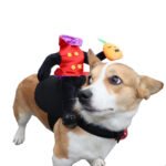 Halloween Dog Clothes Pet Costume Funny - Image 9