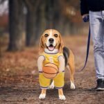 Pet Costumes Dog Basketball Player Costume Halloween Costumes For Dogs Funny Dress Up Sports Outfit Cosplay Clothes For Small Dog Costume - Image 8