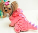 Halloween Dog Clothes Stretch Dinosaur Transformation Costume - Image 5