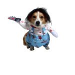 Halloween Pet Clothes Funny Pet Costume Dog Clothes Cat Clothes - Image 5