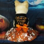 Pet Clothes Halloween Dog Cat Party Decoration Halloween Skull Black Costume - Image 4