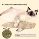 Cat Toy, Catnip Pillow, Self-amusing Chew Toy, Bite-resistant - Image 3