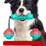 Dog Durable Chew Teeth Cleaning Toy Chew Stick - Image 5