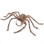 Halloween Pet Clothes Big Spider Pet Costume - Image 4