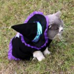Christmas Wizard Pet Halloween Dog Clothes Pet Clothes - Image 4