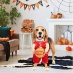 Pet Costumes Dog Basketball Player Costume Halloween Costumes For Dogs Funny Dress Up Sports Outfit Cosplay Clothes For Small Dog Costume - Image 4