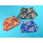 Pet Dog Clothes Japanese HAILANG And Pack - Image 2