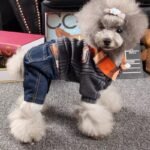 Pet Clothes Wholesale Dog Thick Four Legged Clothes - Image 5